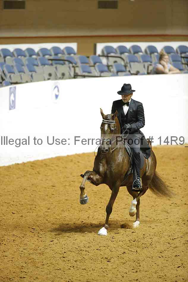 Proof 14r9_3425