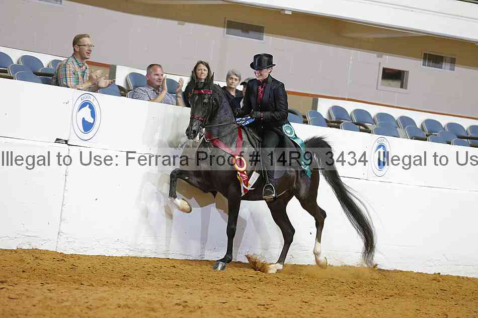 Proof 14r9_3434