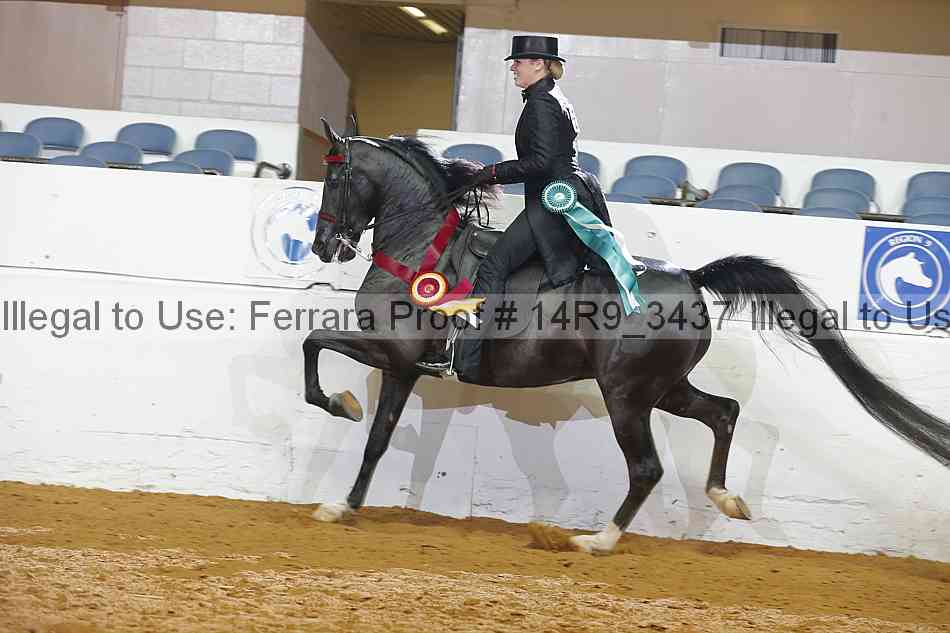 Proof 14r9_3437