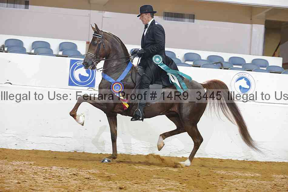 Proof 14r9_3445