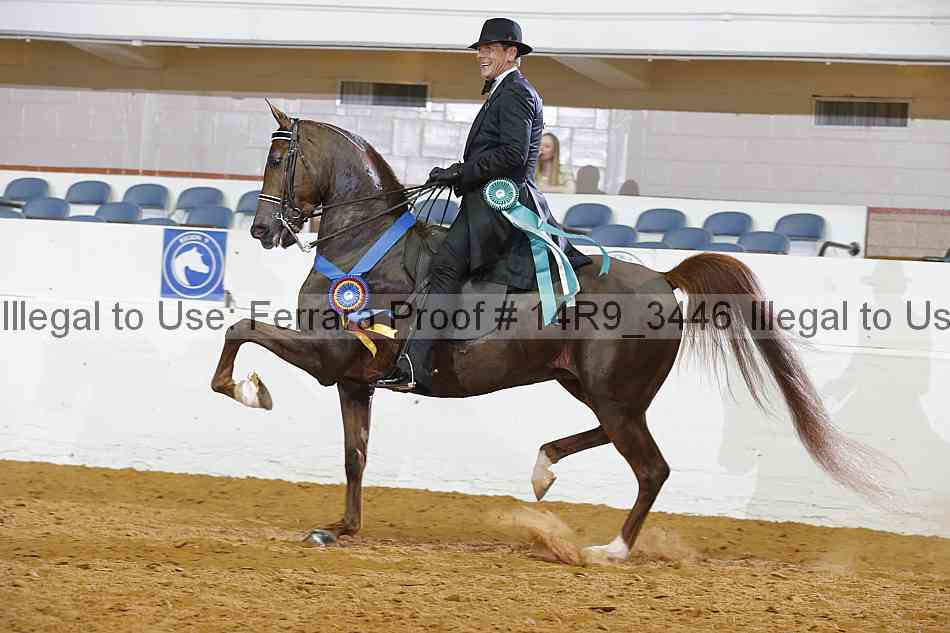 Proof 14r9_3446