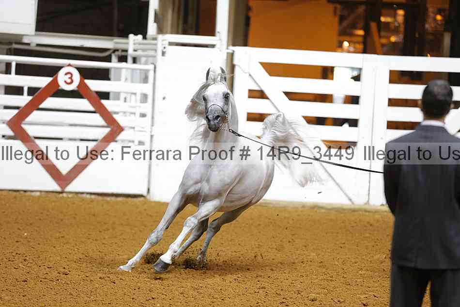 Proof 14r9_3449