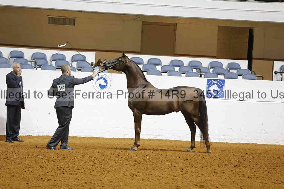 Proof 14r9_3452
