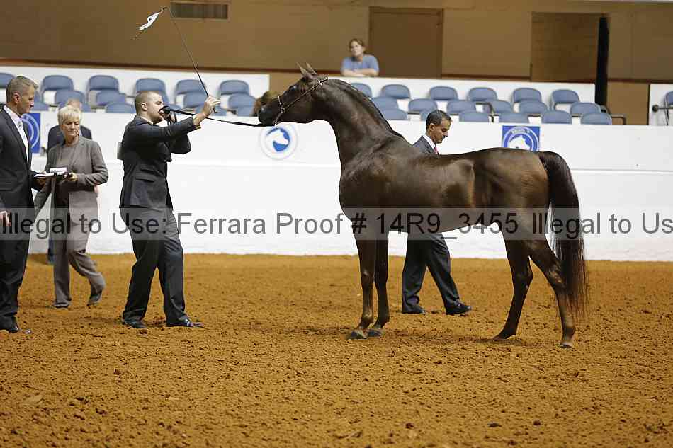 Proof 14r9_3455