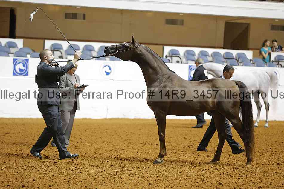 Proof 14r9_3457