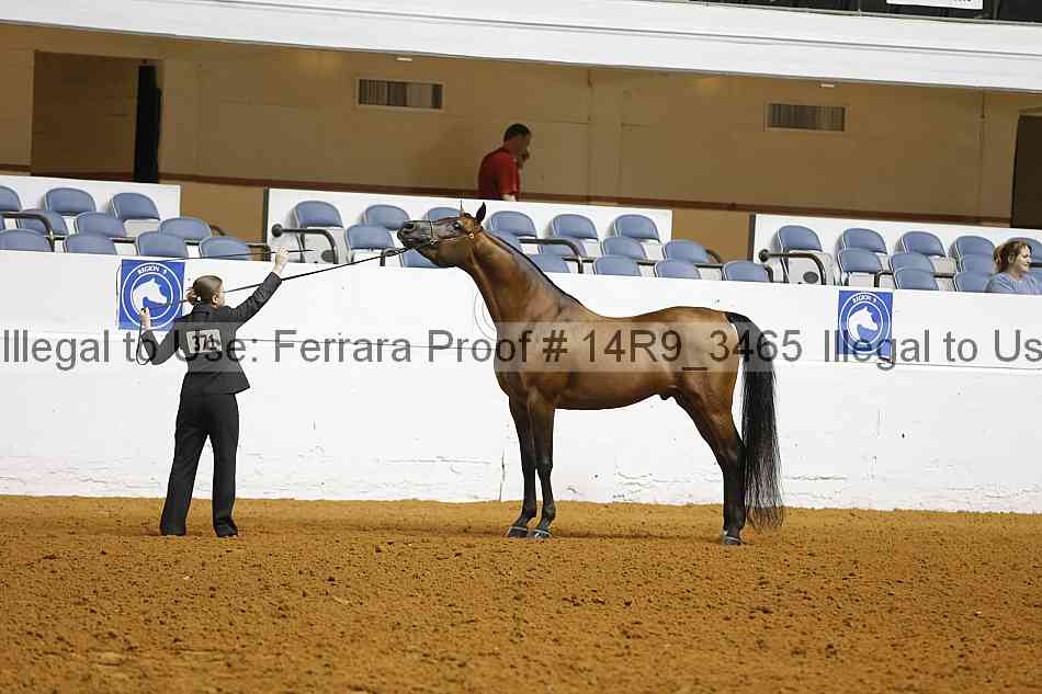Proof 14r9_3465