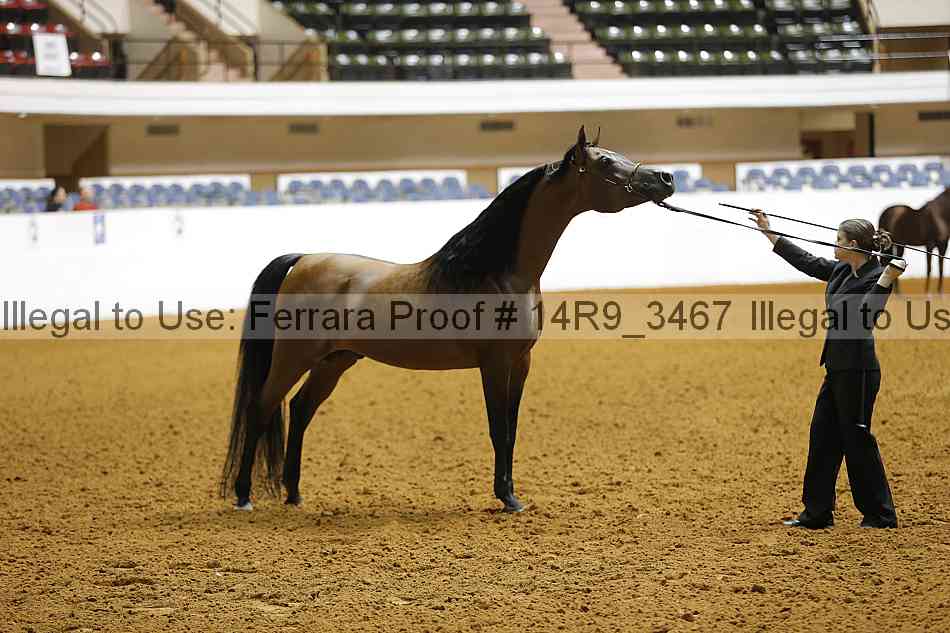 Proof 14r9_3467