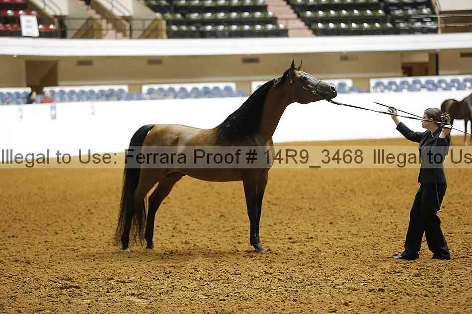 Proof 14r9_3468