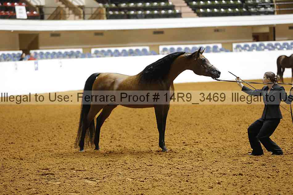 Proof 14r9_3469