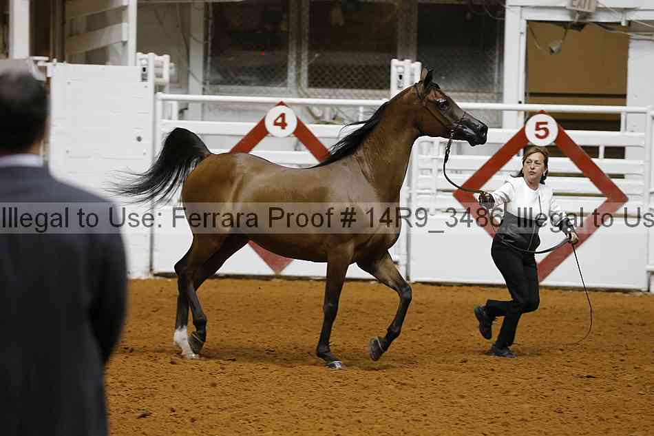 Proof 14r9_3486