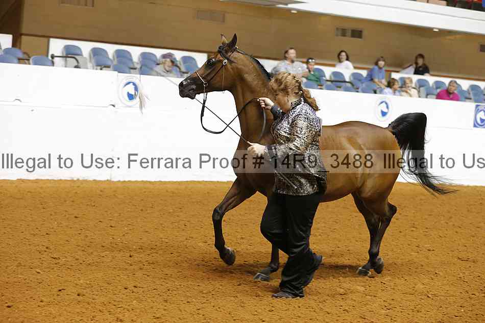 Proof 14r9_3488