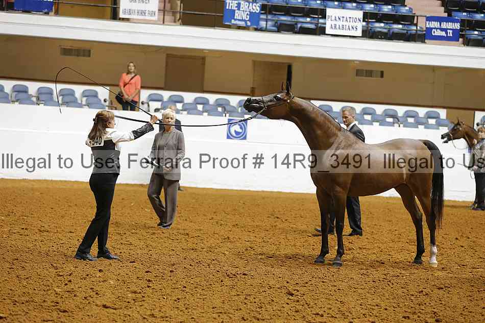 Proof 14r9_3491