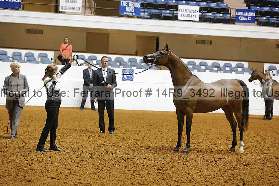 Proof 14r9_3492