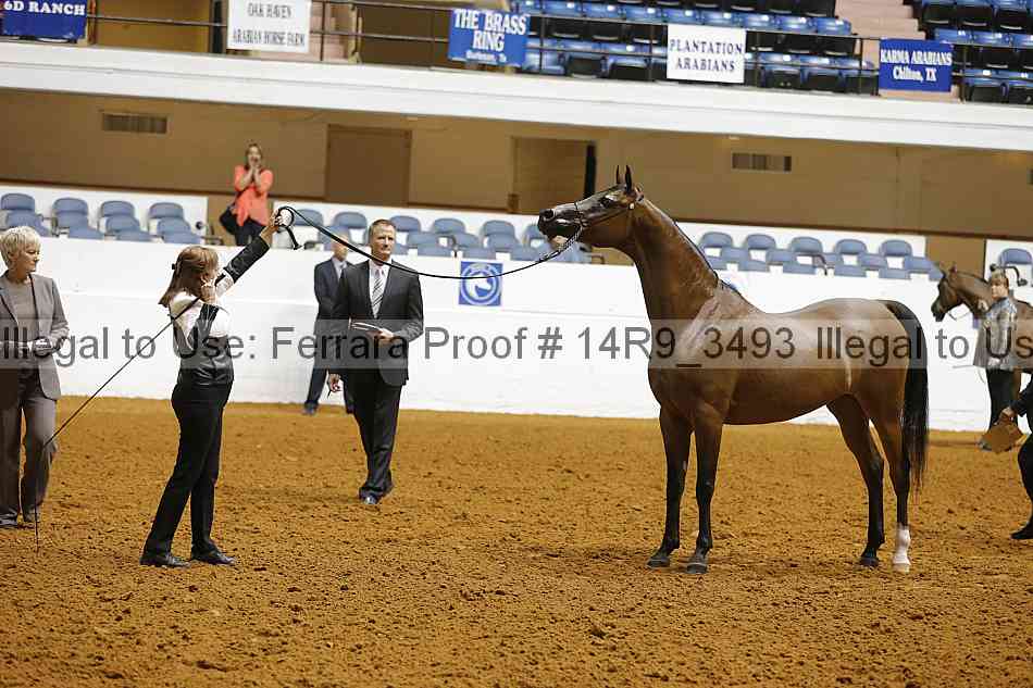 Proof 14r9_3493