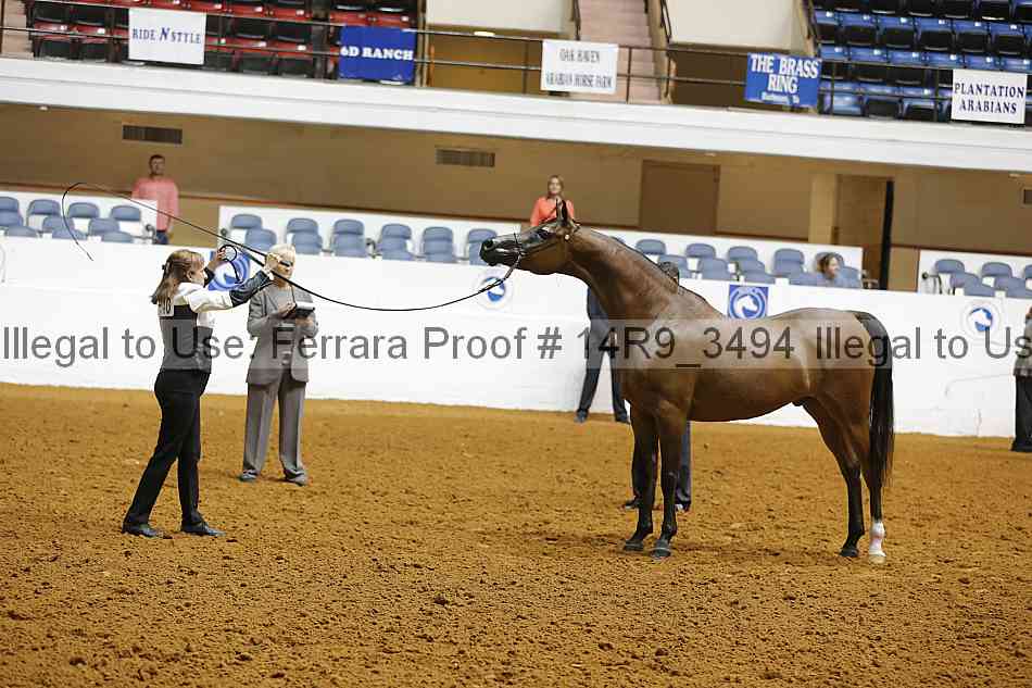 Proof 14r9_3494