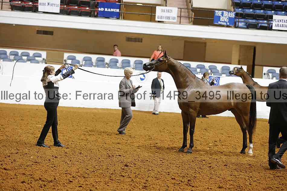 Proof 14r9_3495