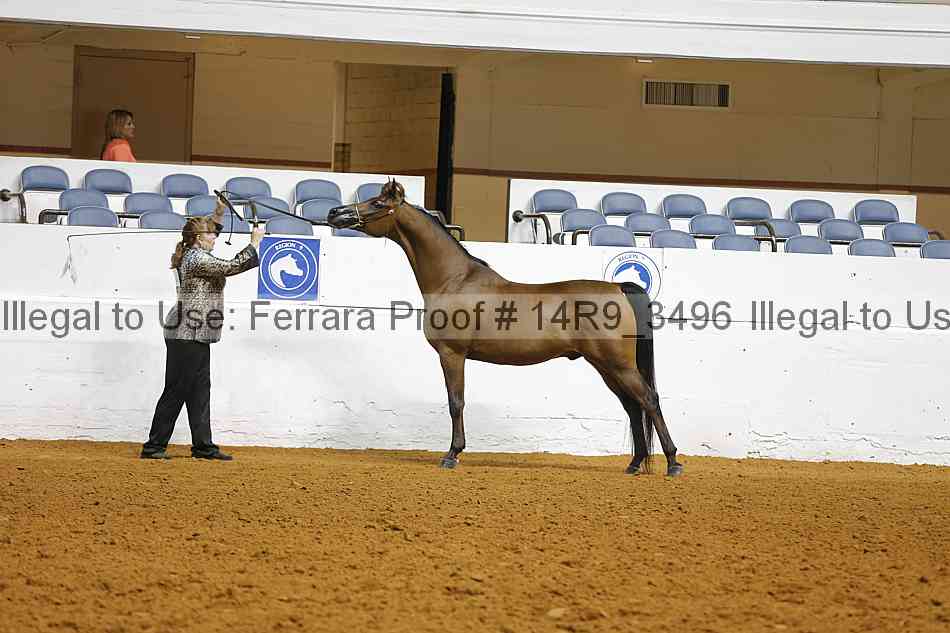 Proof 14r9_3496