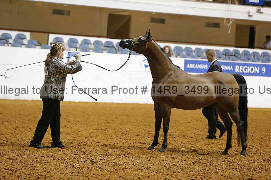 Proof 14r9_3499