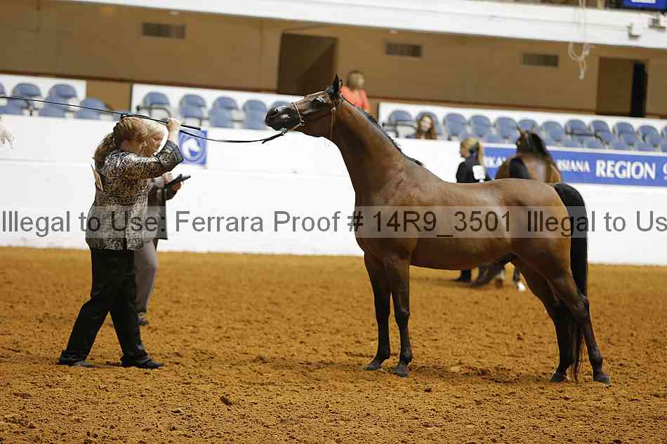 Proof 14r9_3501