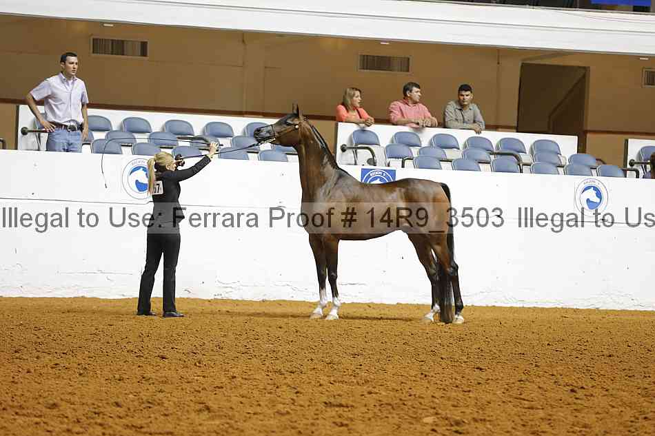 Proof 14r9_3503