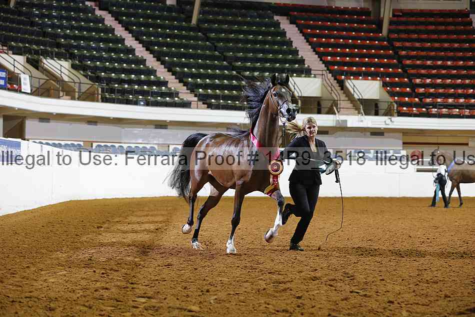 Proof 14r9_3518