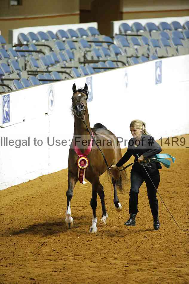 Proof 14r9_3520