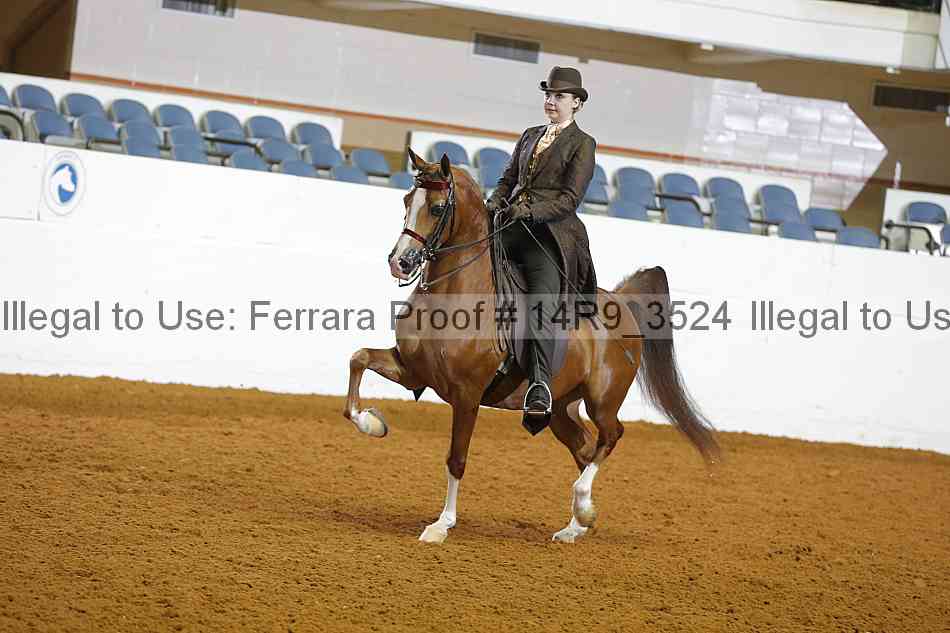 Proof 14r9_3524