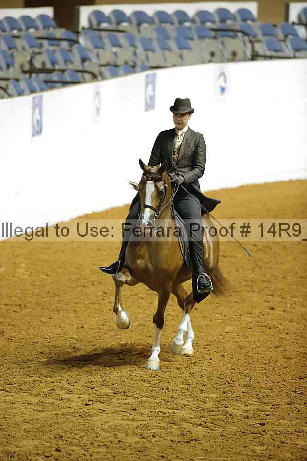 Proof 14r9_3528