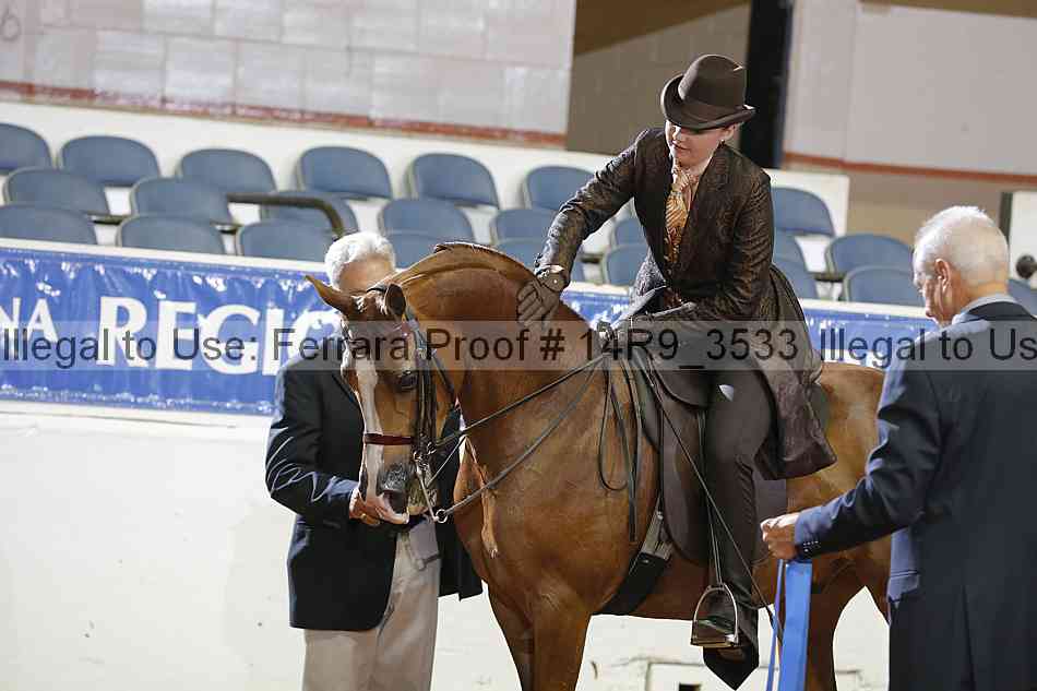 Proof 14r9_3533