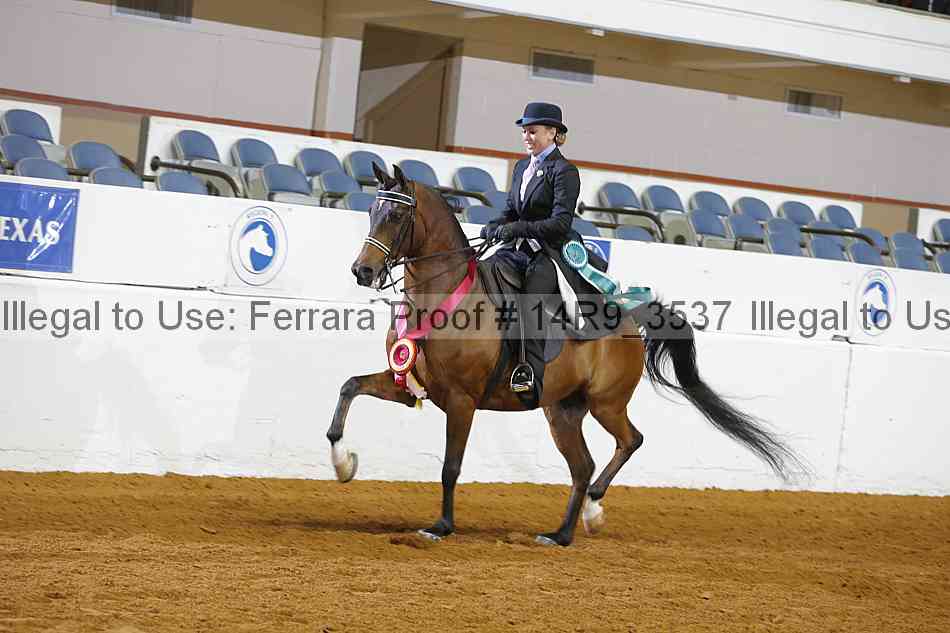 Proof 14r9_3537