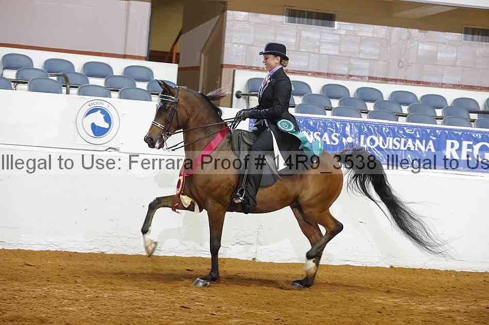 Proof 14r9_3538