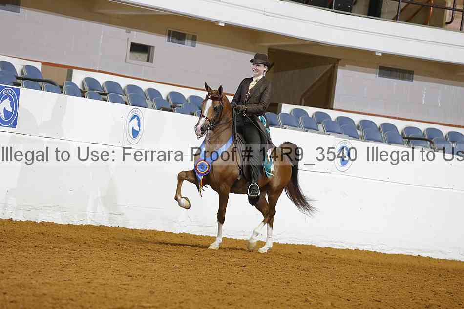 Proof 14r9_3540