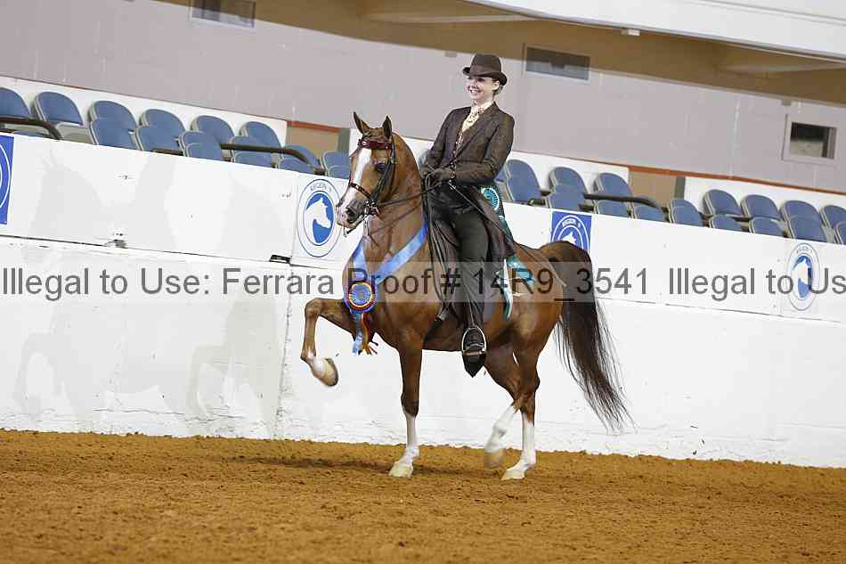 Proof 14r9_3541