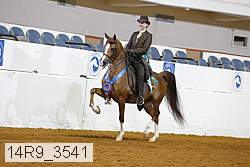 14r9_3541 proof