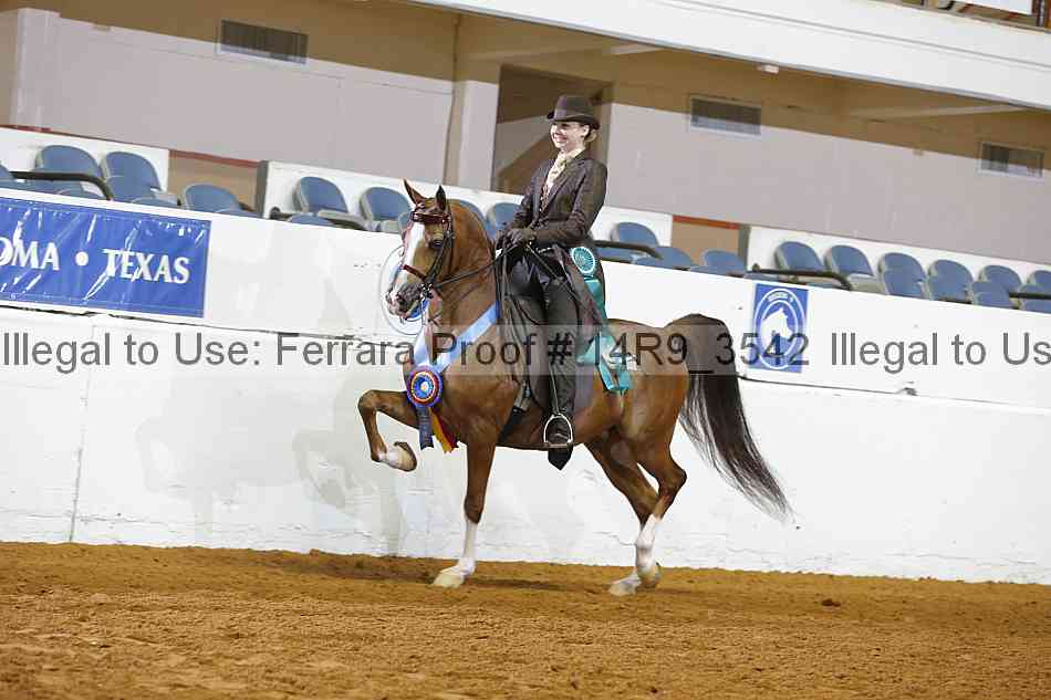 Proof 14r9_3542