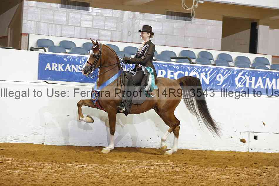 Proof 14r9_3543
