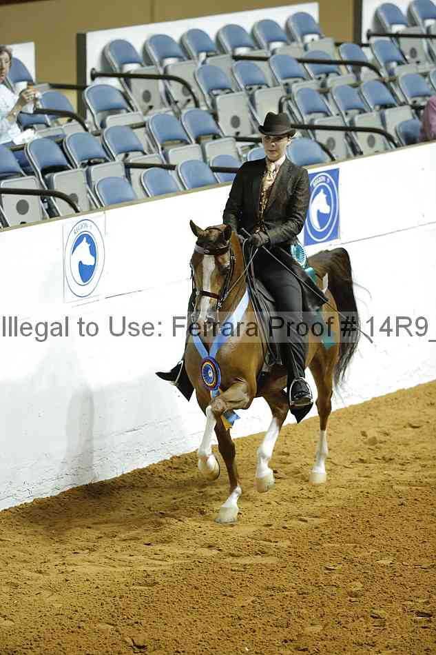 Proof 14r9_3546