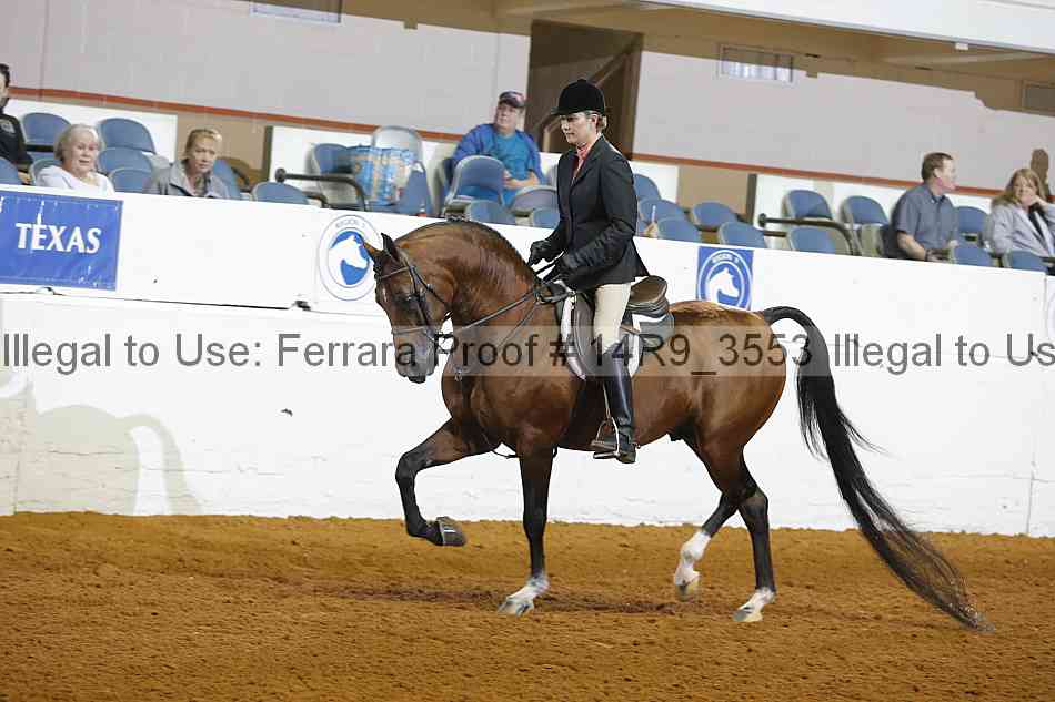 Proof 14r9_3553