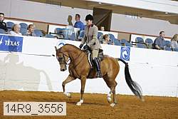 14r9_3556 proof