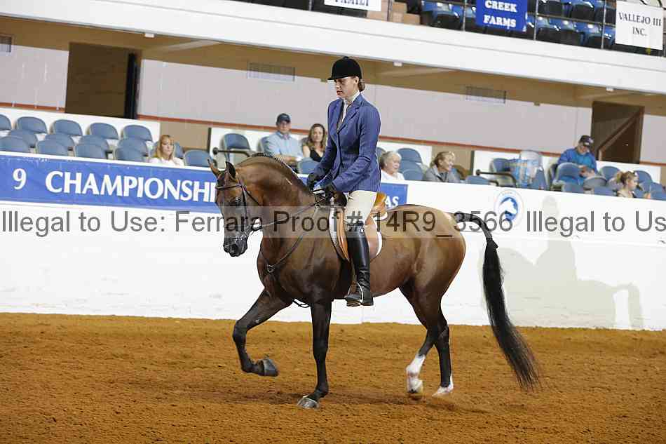 Proof 14r9_3566