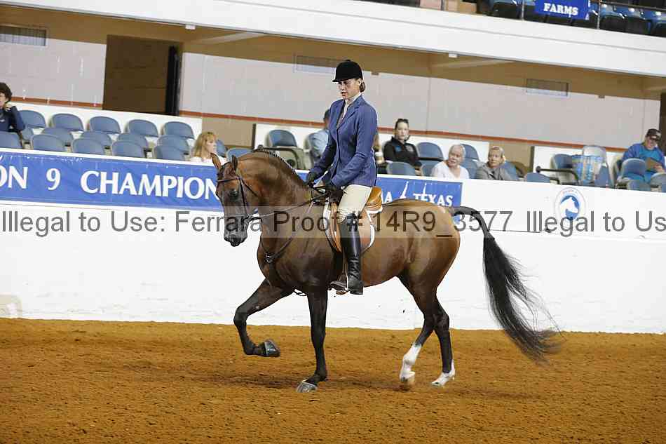Proof 14r9_3577
