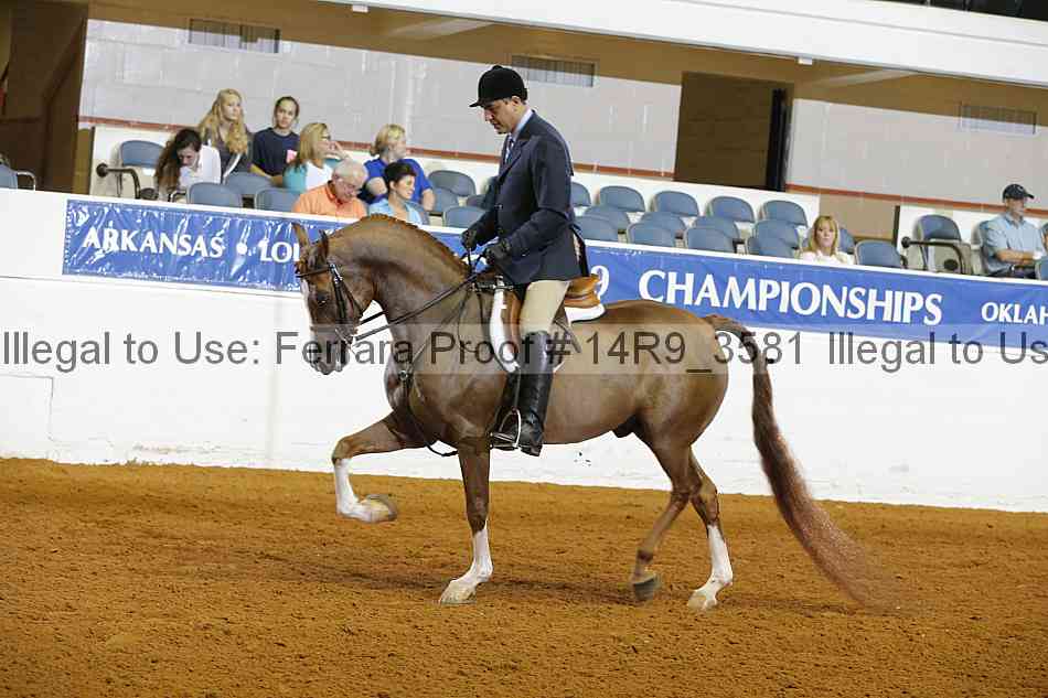 Proof 14r9_3581
