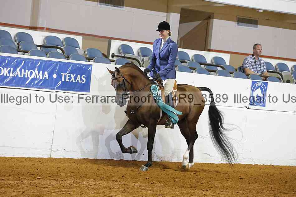 Proof 14r9_3589
