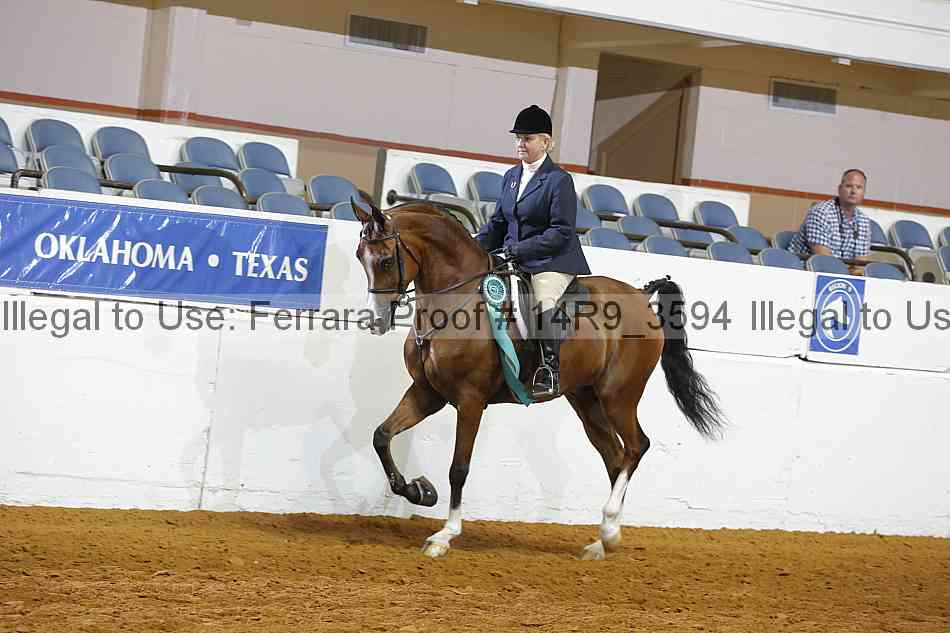 Proof 14r9_3594