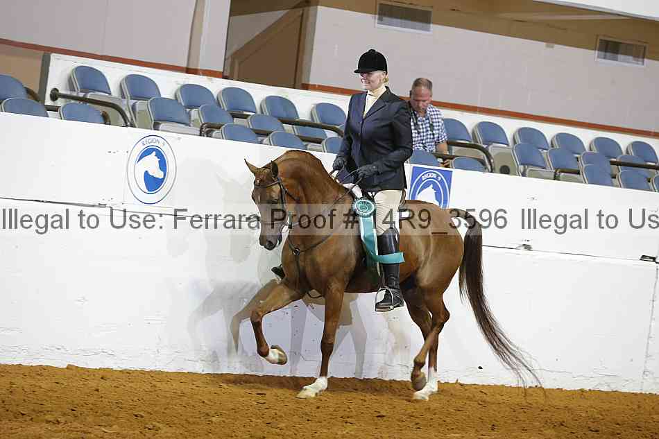 Proof 14r9_3596