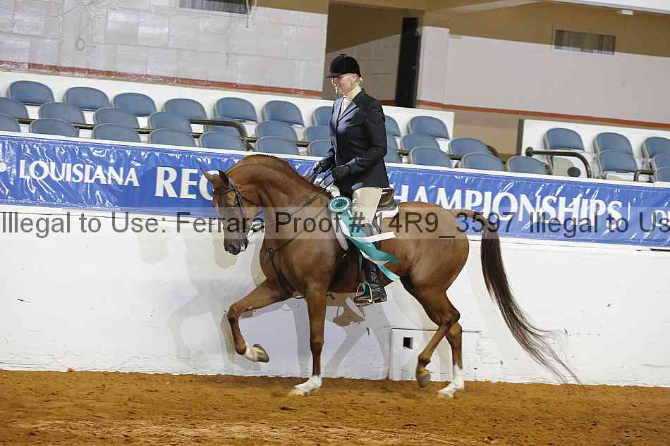 Proof 14r9_3597