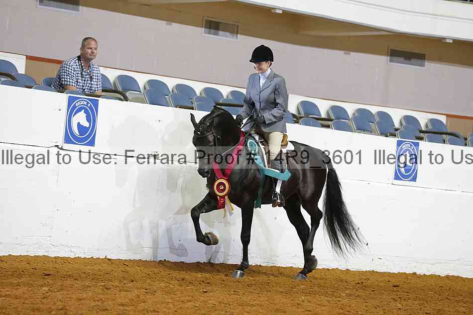 Proof 14r9_3601