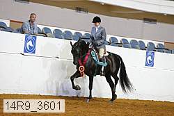14r9_3601 proof