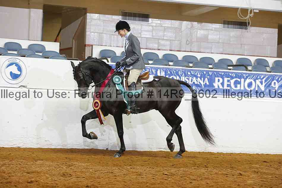 Proof 14r9_3602