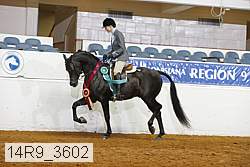 14r9_3602 proof